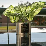 The Seaview By Lovelystay Apartamento